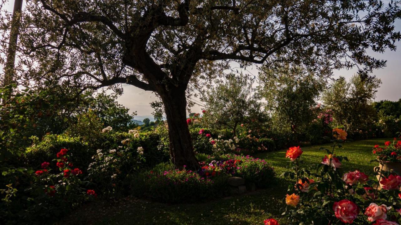 Il Casale Di Fiore Cannara Buitenkant foto