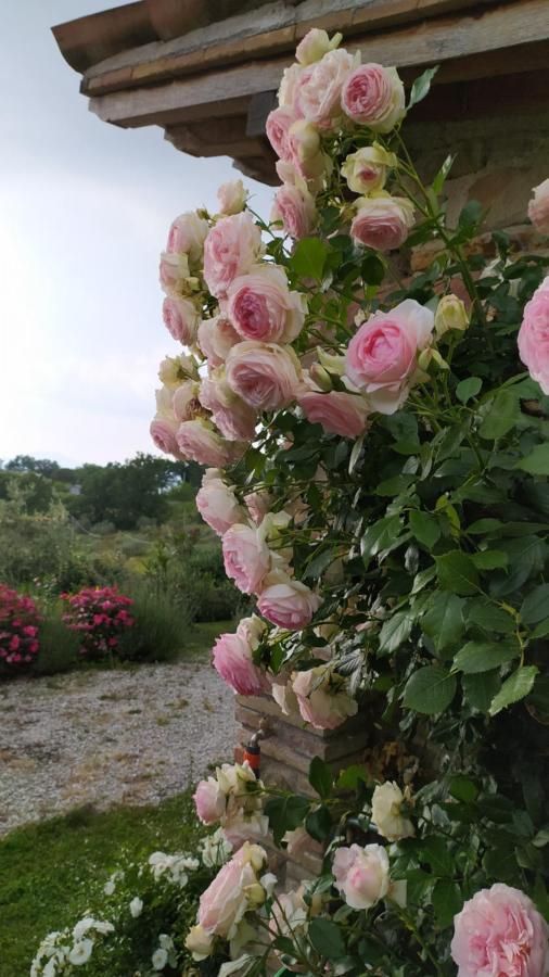 Il Casale Di Fiore Cannara Buitenkant foto